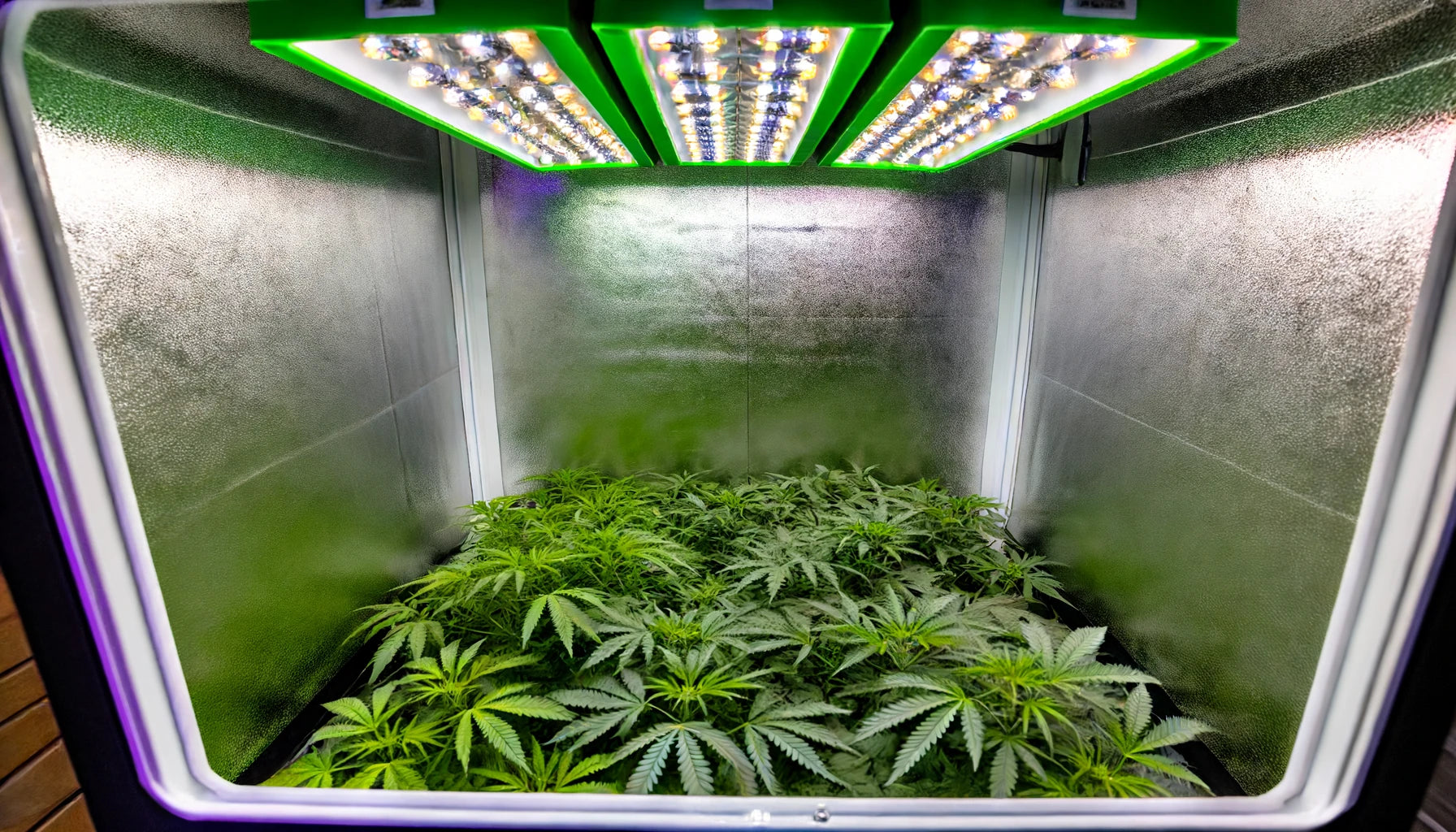 Die perfekte Growbox für deinen Grow GoGrow