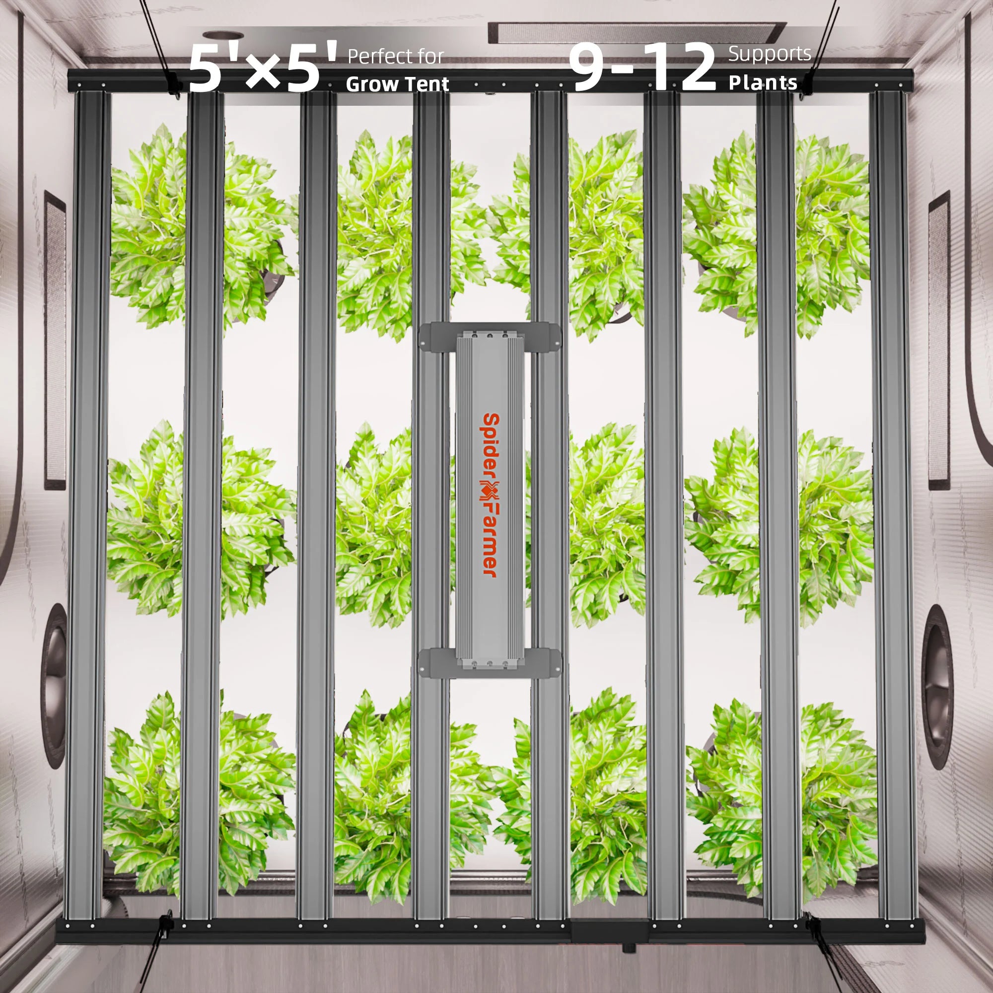 Komplettset (300x150x200 cm) 2000 Watt G1000W EVO LED mit GGS für smarte Steuerung