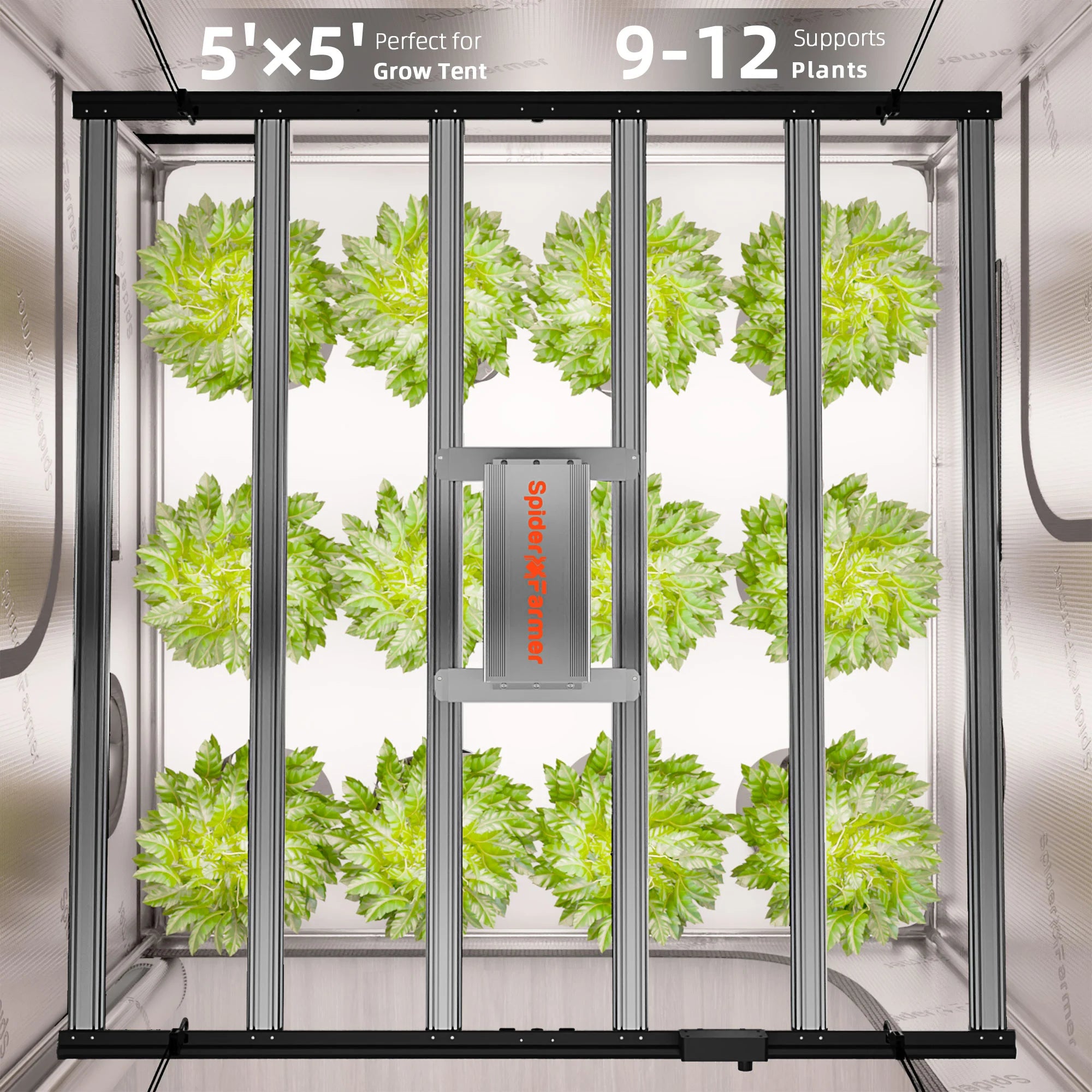 Komplettset (150x150x200 cm) 800 Watt G8600 EVO LED mit GGS für smarte Steuerung
