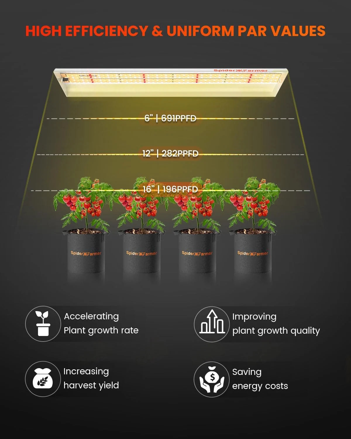SF300 LED 33 Watt