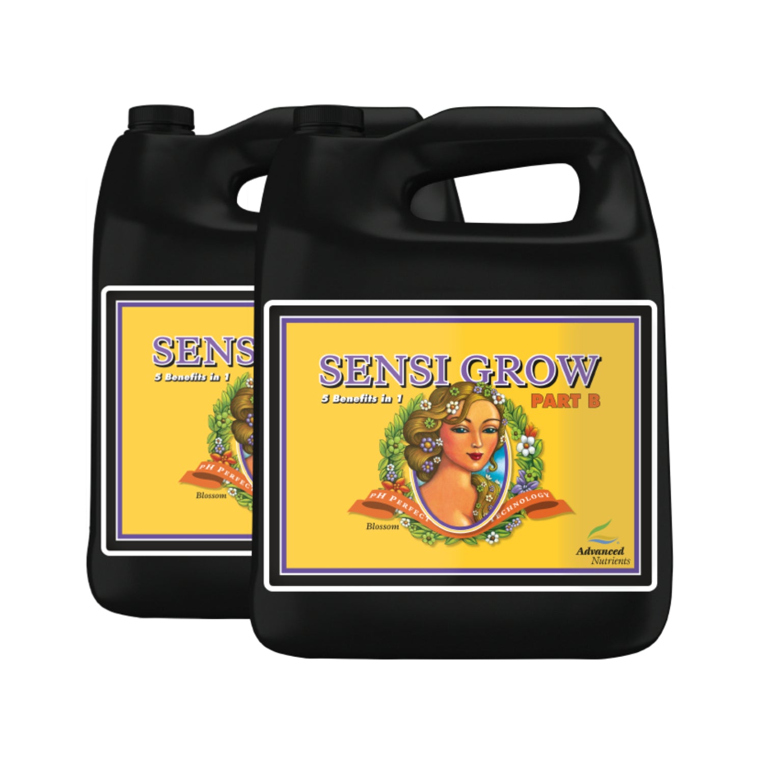 pH Perfect Sensi Grow A + B Wachstumsdünger