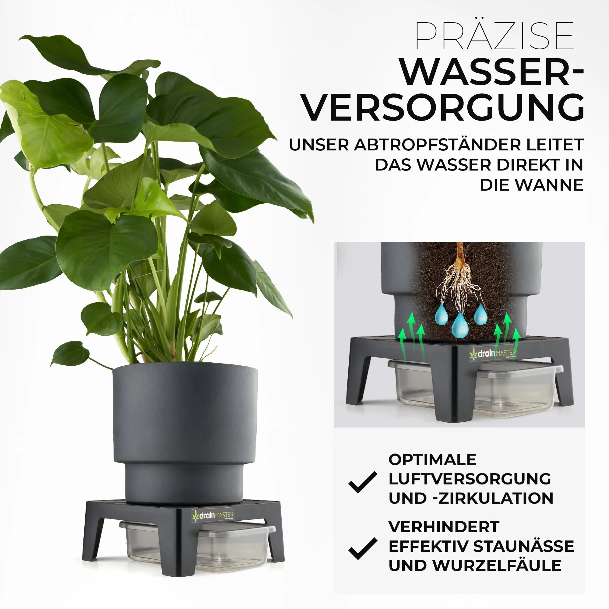 DrainMaster Abtropfständer 1er Set inkl. Wanne