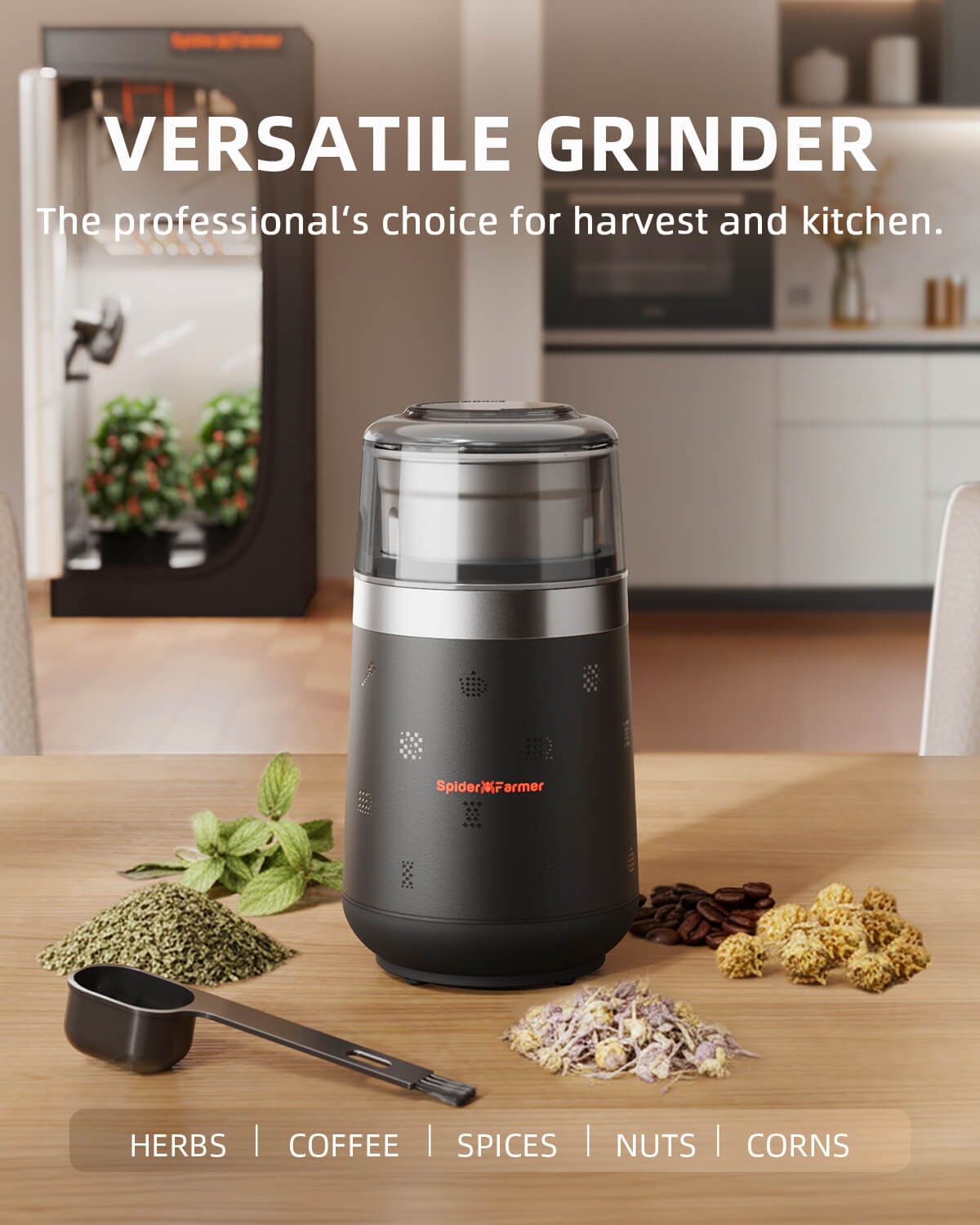 Elektrischer Grinder Ø 125 mm