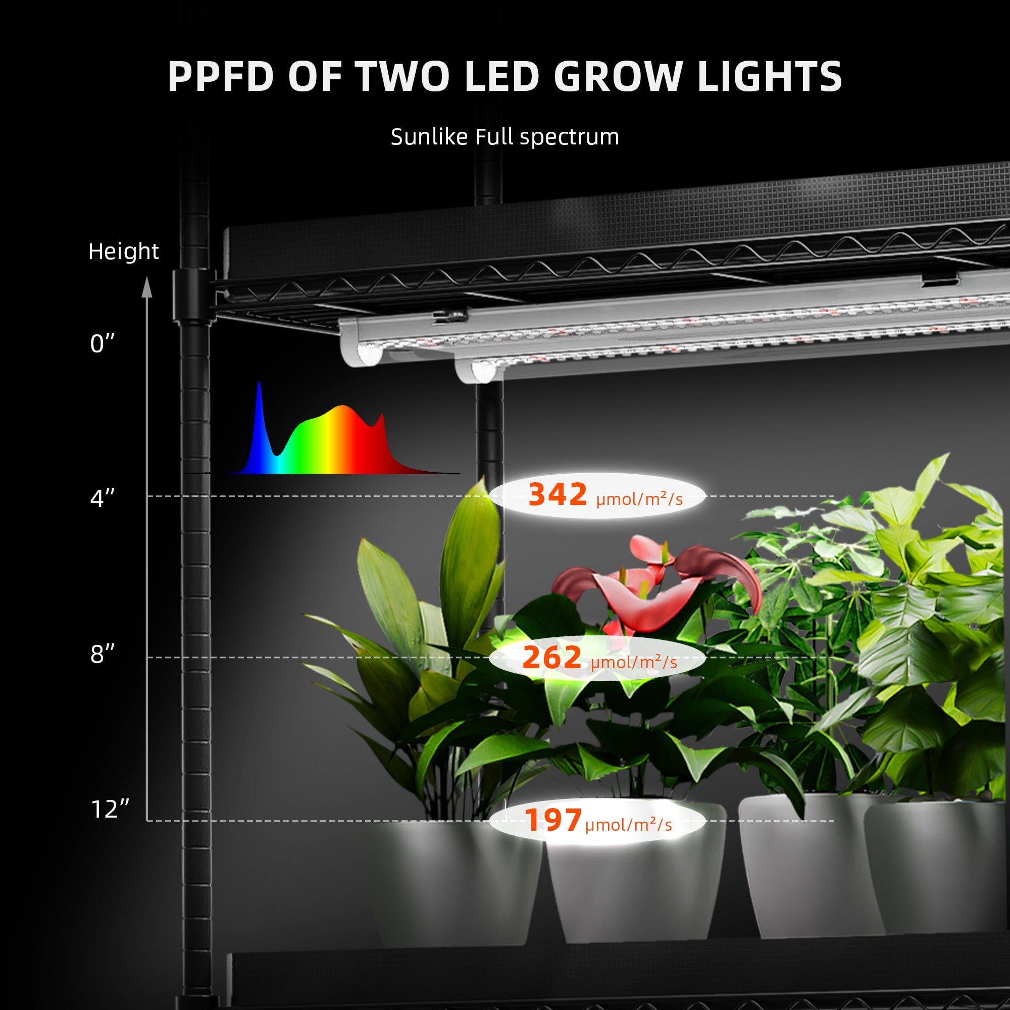 GlowBar25 Vollspektrum LED Zusatzbeleuchtung 200 Watt
