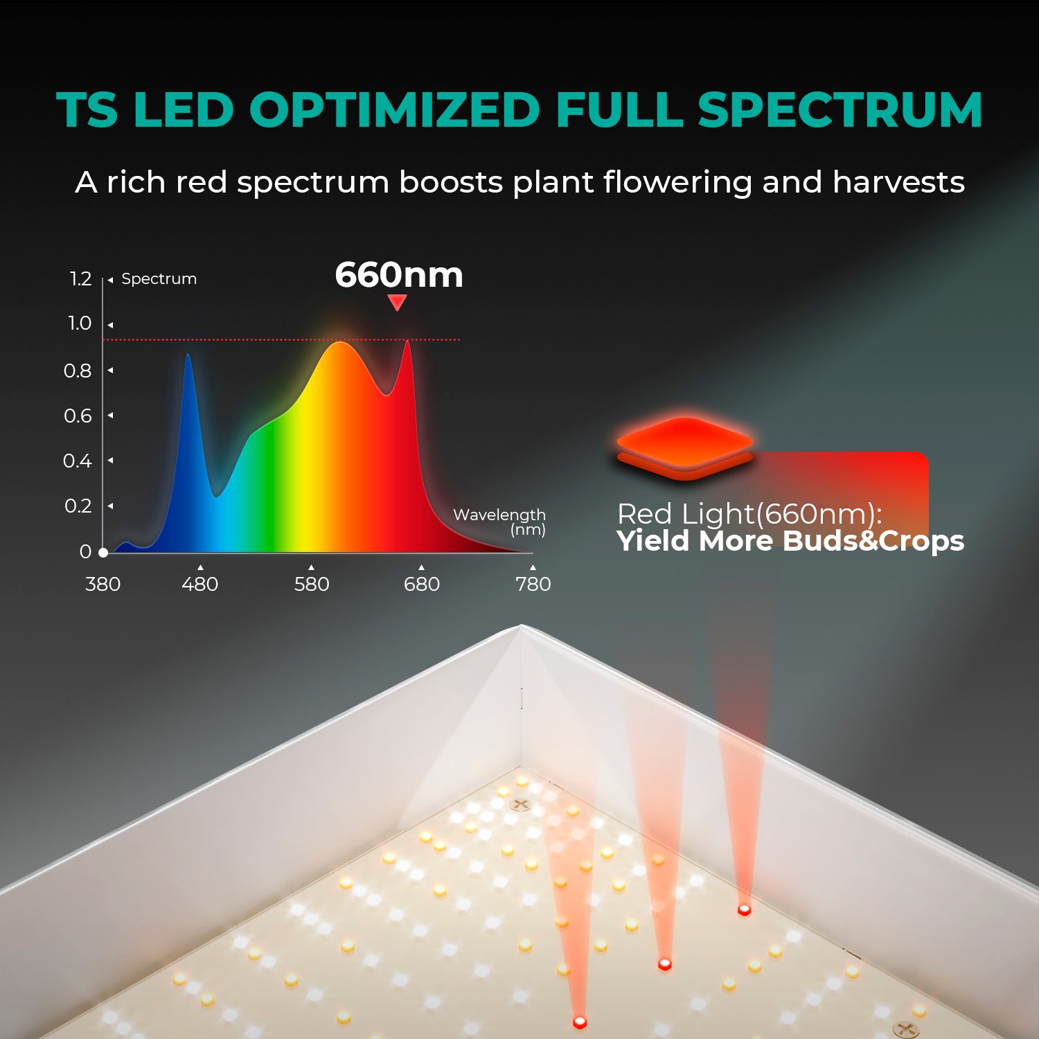 Komplettset (120x120x200 cm) 300 Watt TSW 2000 LED