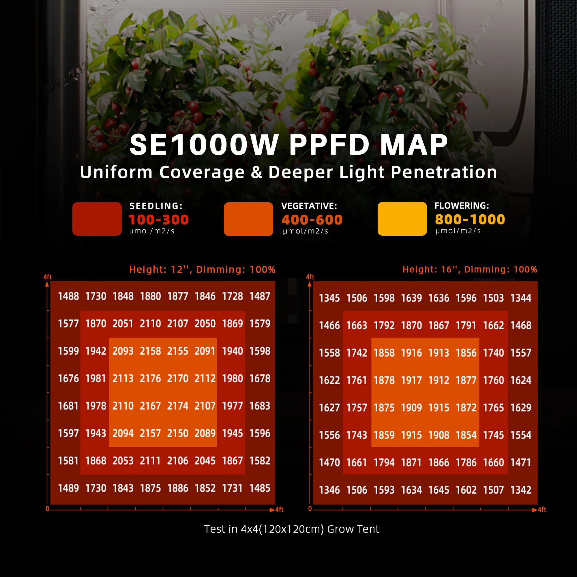 Komplettset (300x150x200 cm) 2000 Watt SE1000W EVO LED mit GGS für smarte Steuerung
