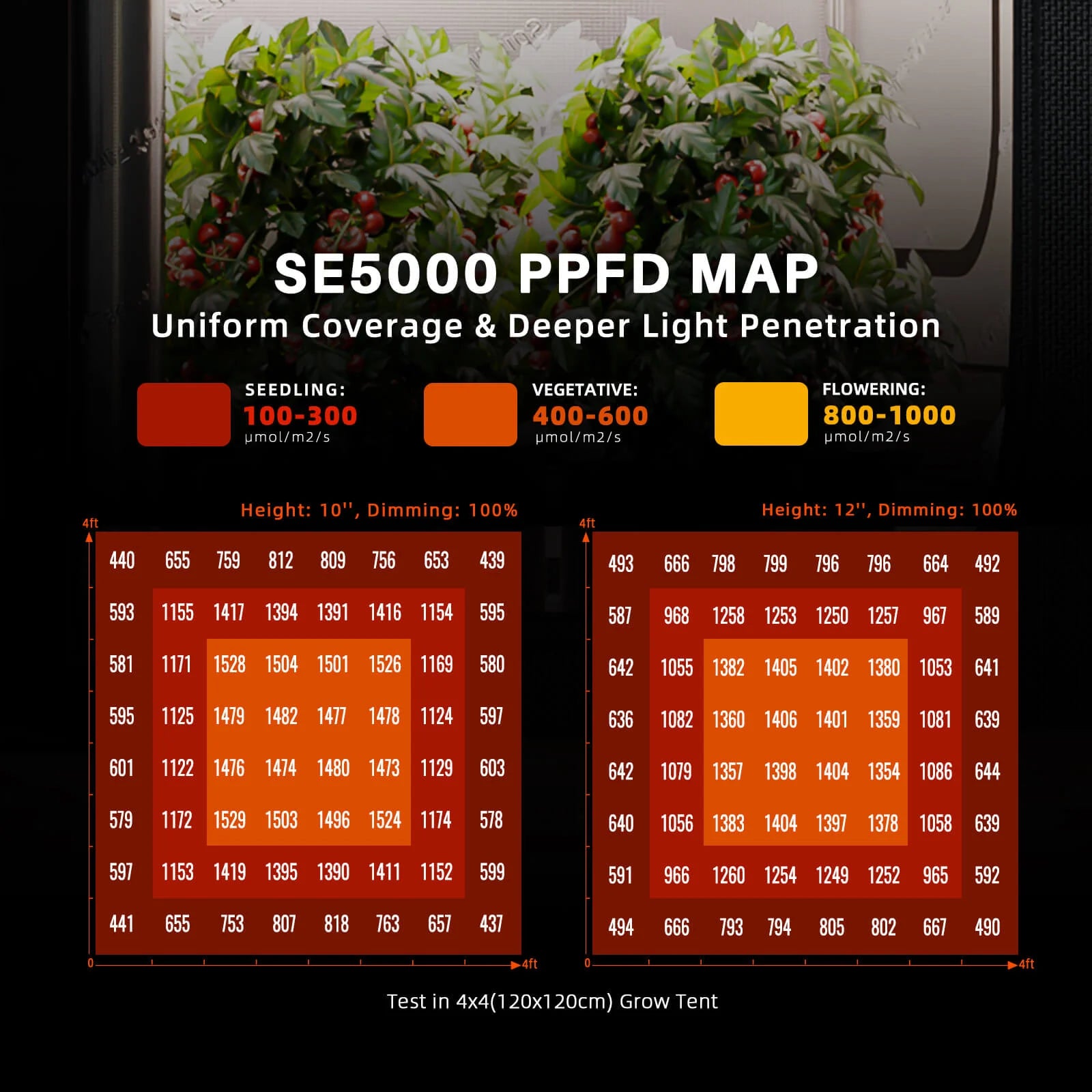 SE5000 EVO LED 480 Watt