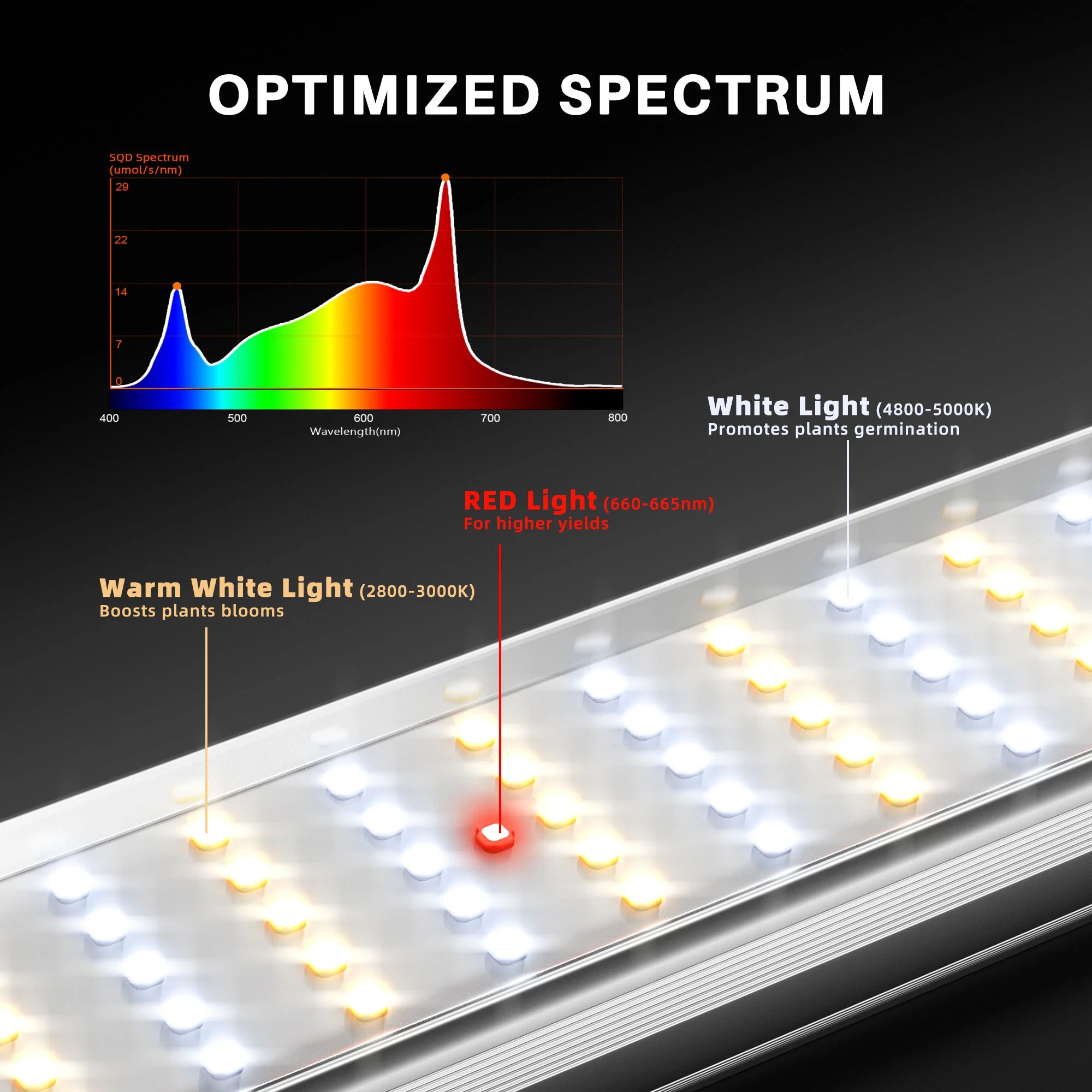 Komplettset (300x150x200 cm) 2000 Watt SE1000W EVO LED mit GGS für smarte Steuerung