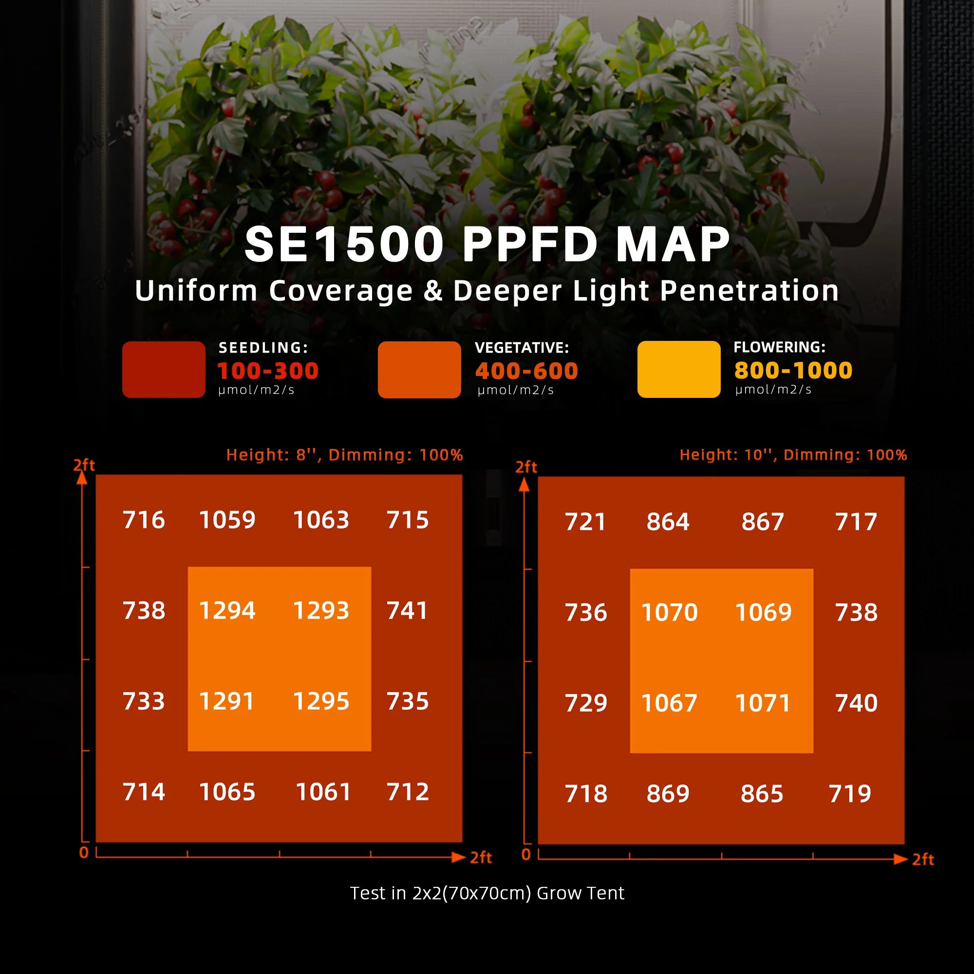 Komplettset (70x70x160 cm) 150 Watt SE1500 EVO LED mit GGS für smarte Steuerung