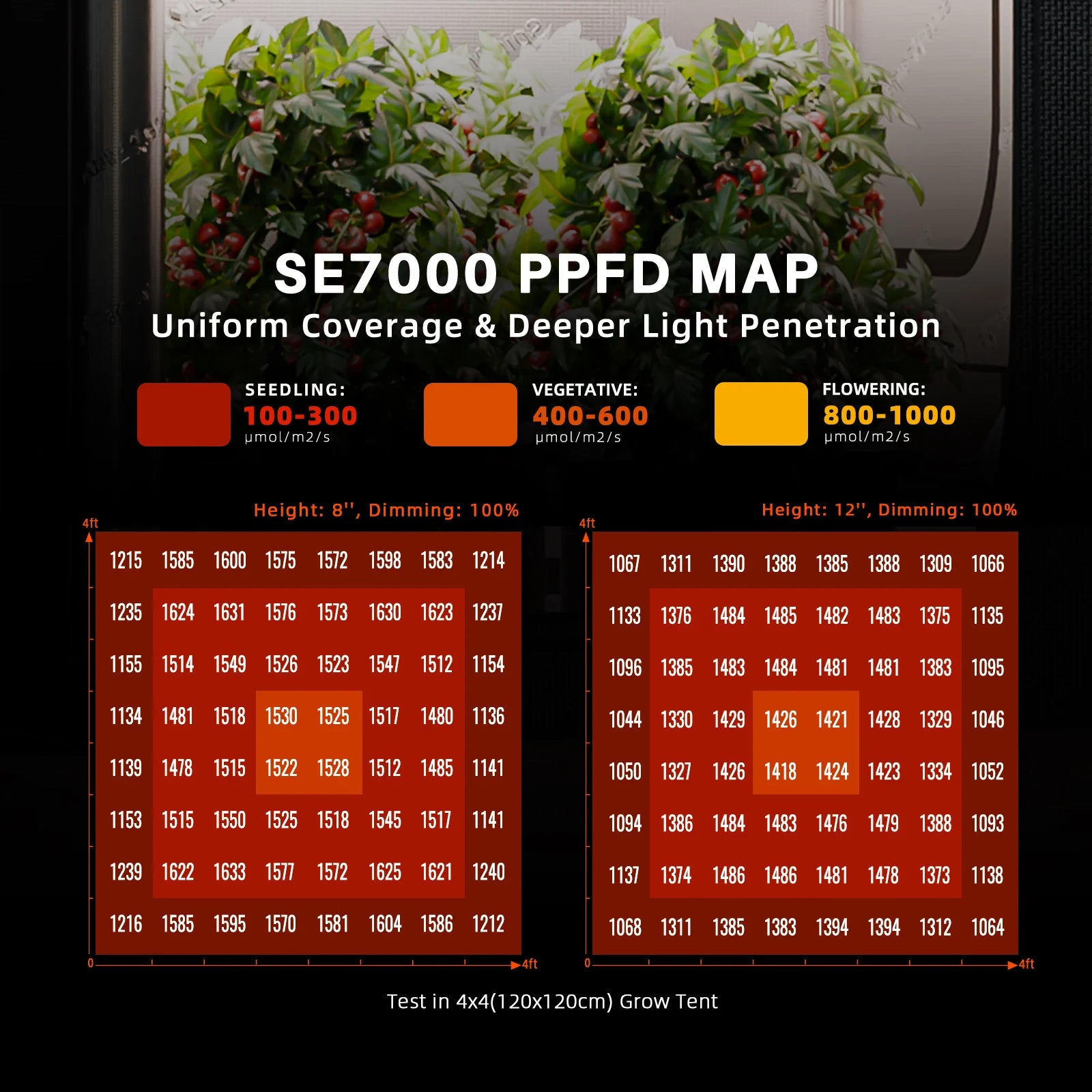 Komplettset (150x150x200 cm) 730 Watt SE7000 EVO LED mit GGS für smarte Steuerung