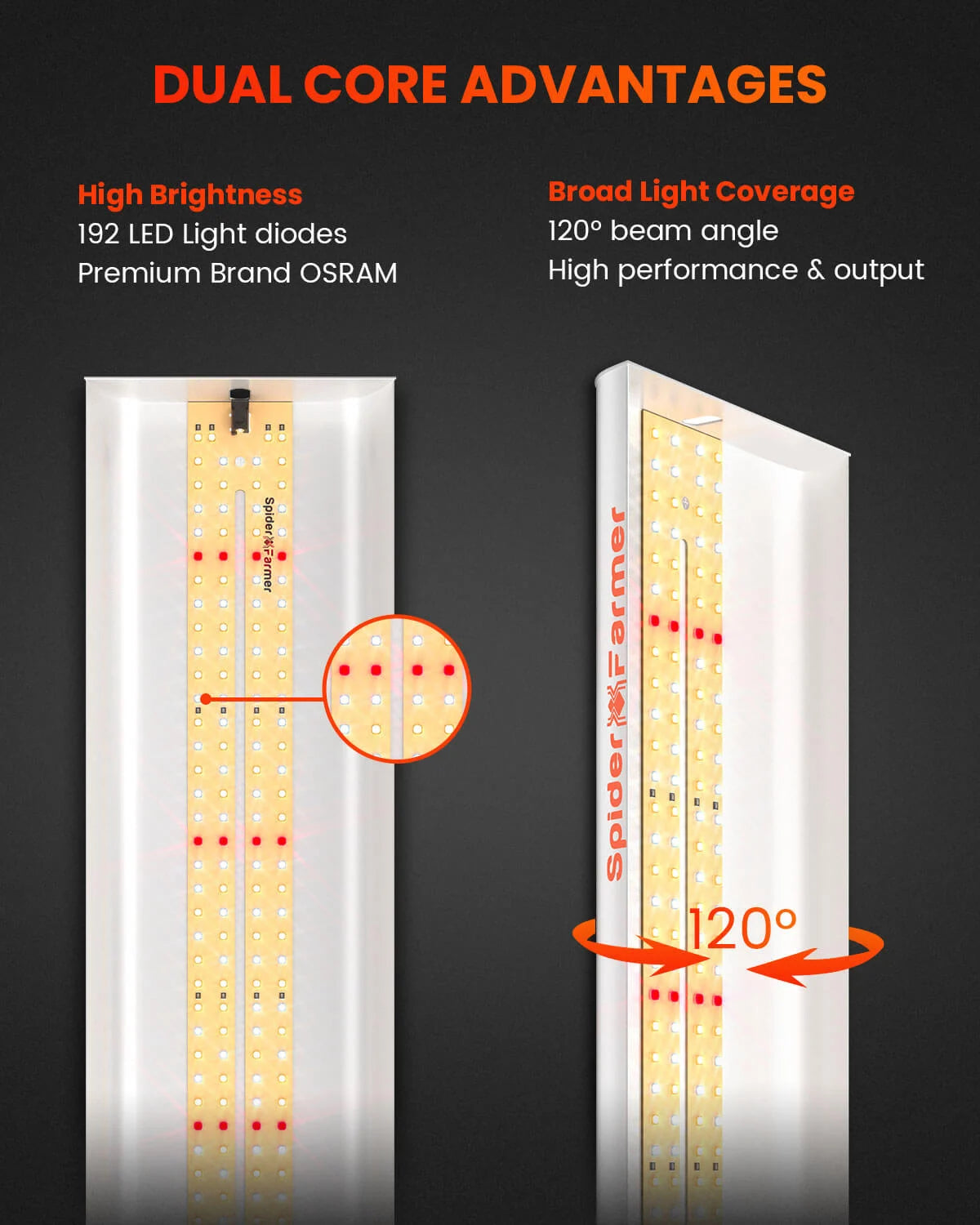 SF300 LED 33 Watt