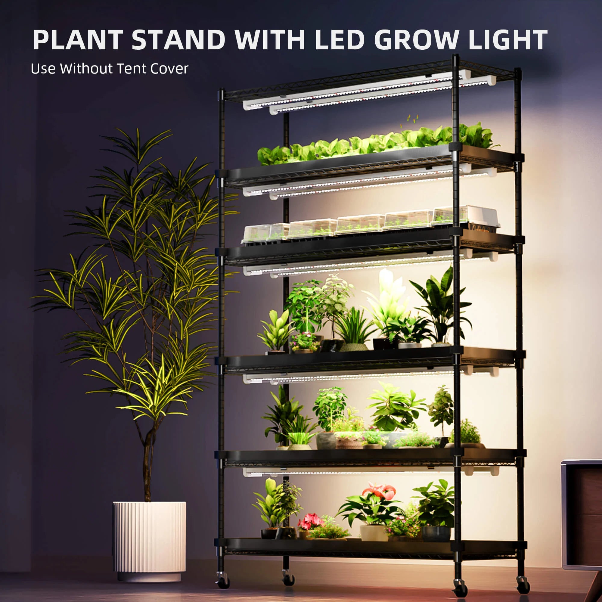 Anzucht/Stecklinge Komplettset (110x40x180 cm) 220 Watt LED