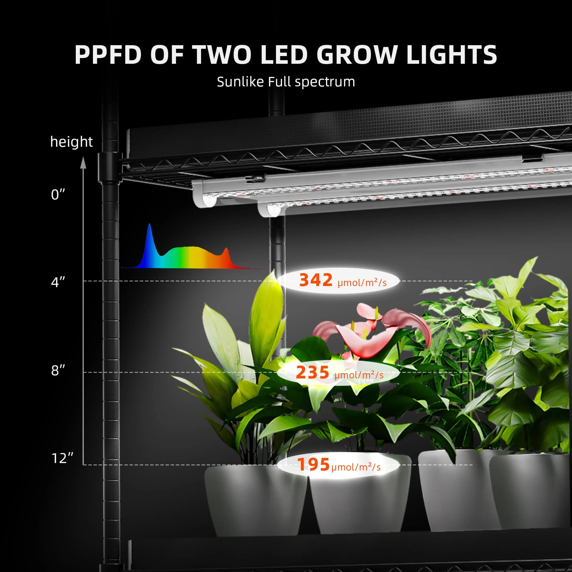 Anzucht/Stecklinge Komplettset (110x40x180 cm) 220 Watt LED