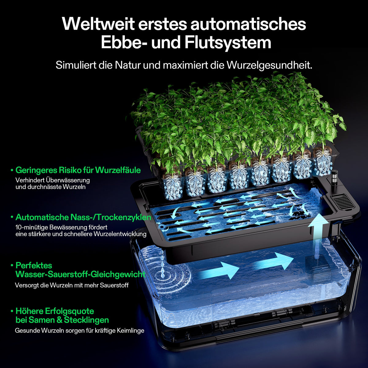 VIVOSUN VSeed S40 – Ebbe-und-Flut-Bewässerung