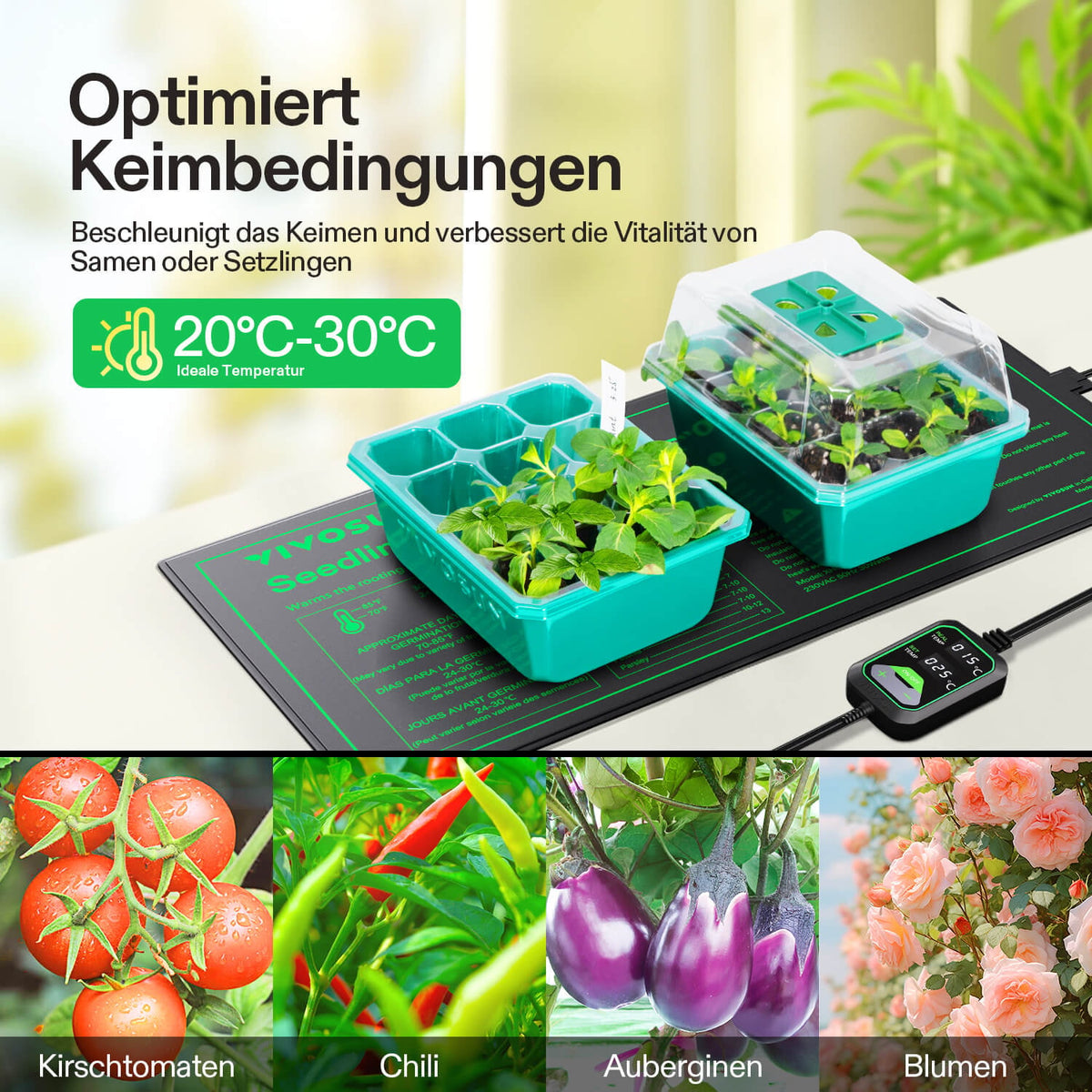 VIVOSUN Heizmatte 25x53 cm mit digitalem Thermostat 20 Watt – Heizmatte unter Anzuchtschalen