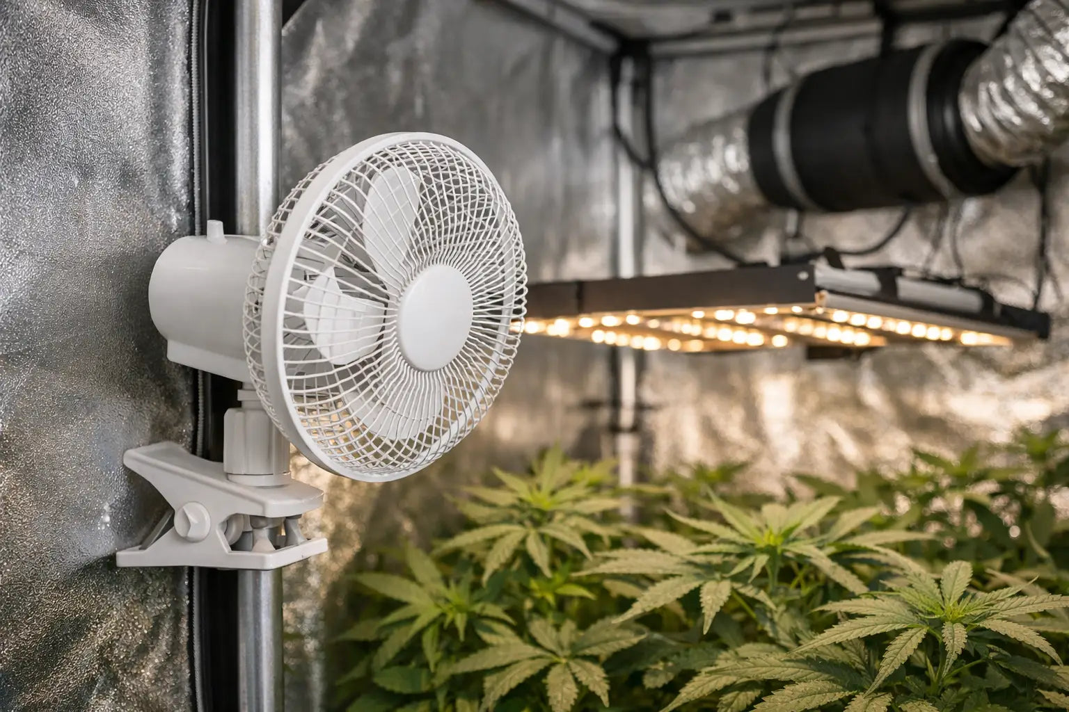 Clip Ventilator Growbox leise richtig wählen