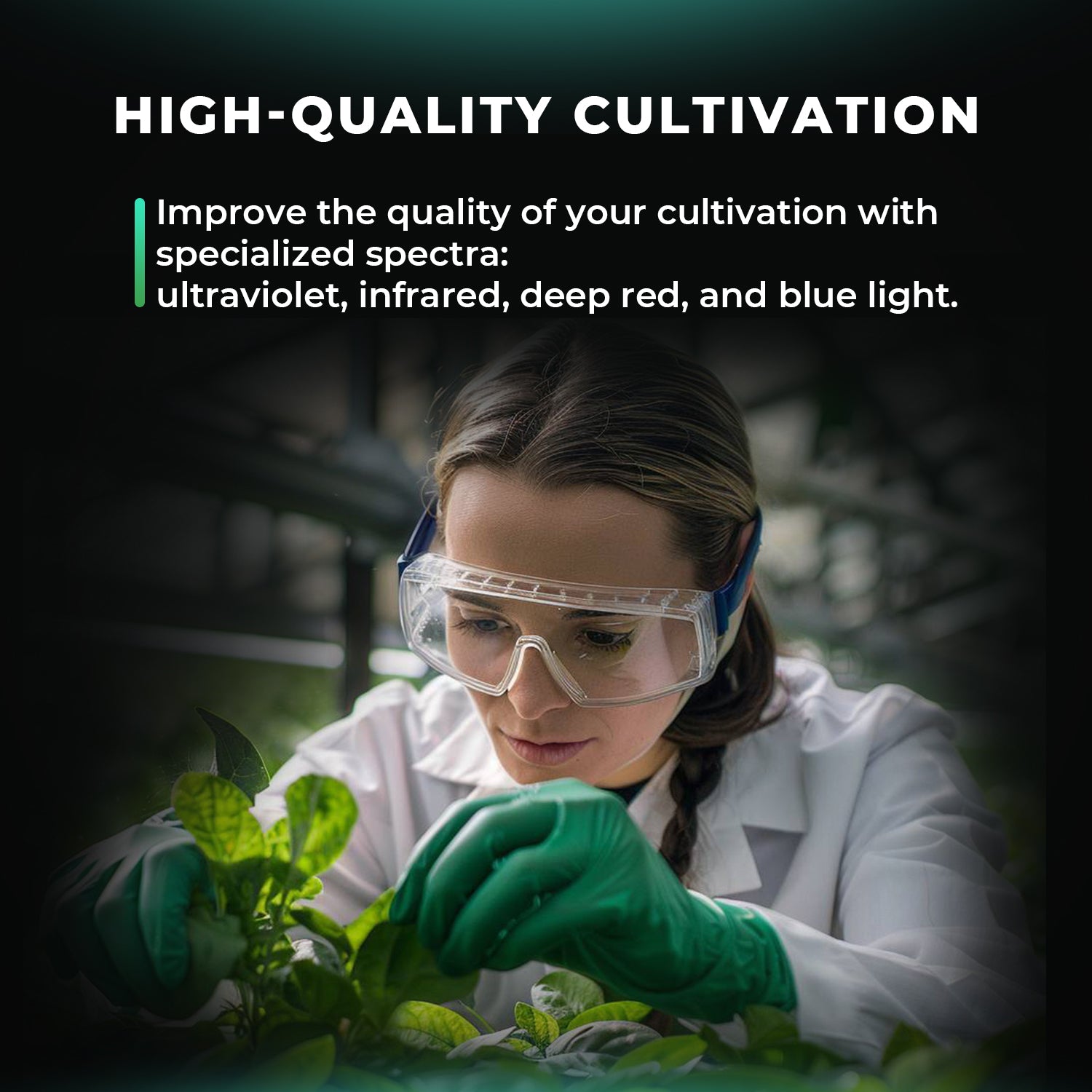 ADlite Rot und Blau LED Zusatzbeleuchtung 60 Watt