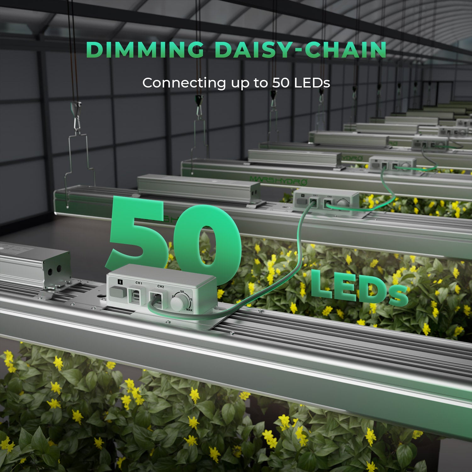 FC 6500-EVO LED 730 W