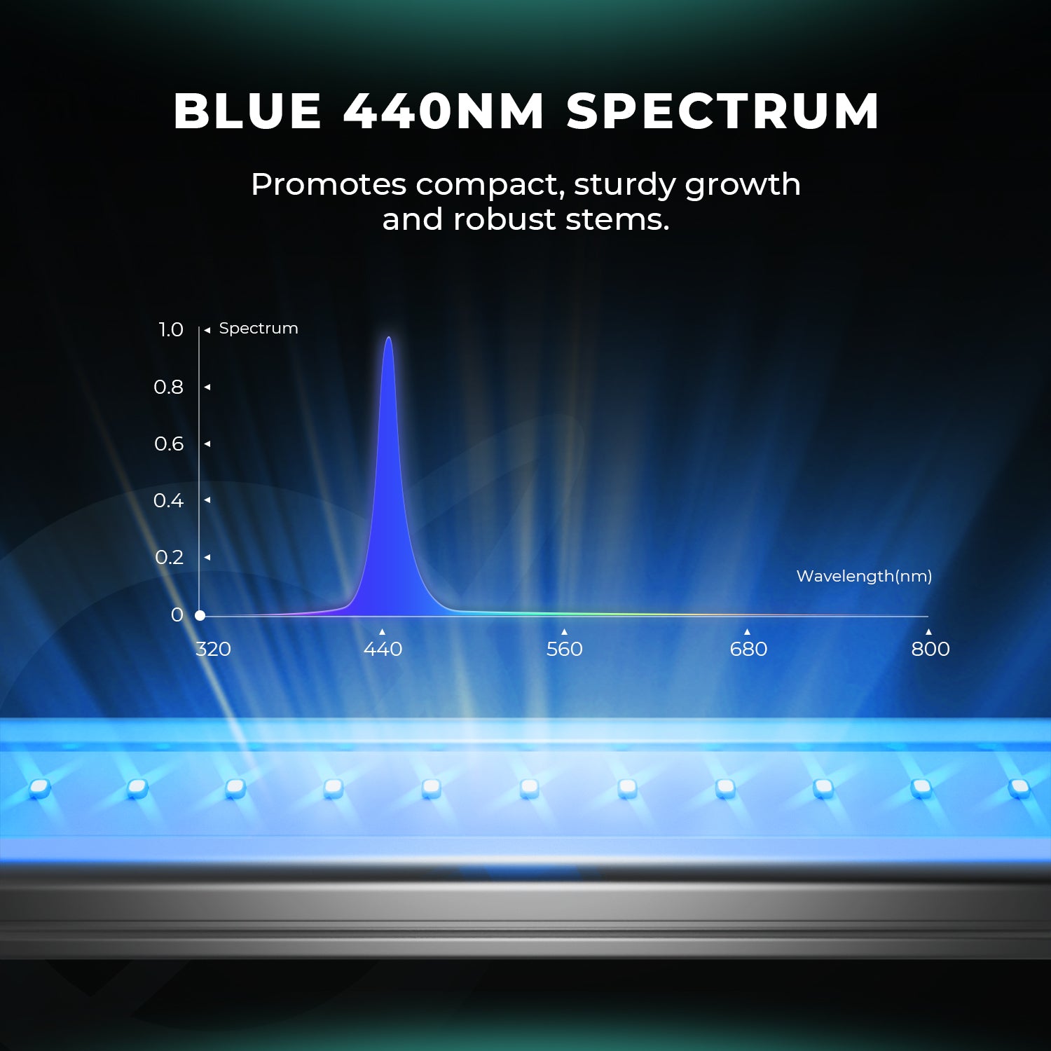ADlite Rot und Blau LED Zusatzbeleuchtung 60 Watt