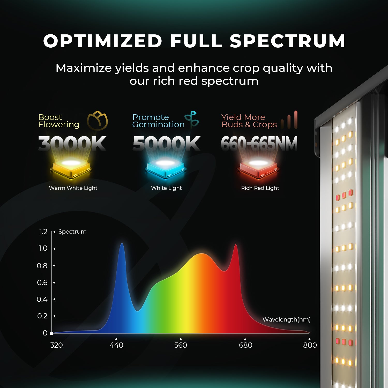 Komplettset (80x80x160 cm) 150 Watt FC 1500 EVO LED