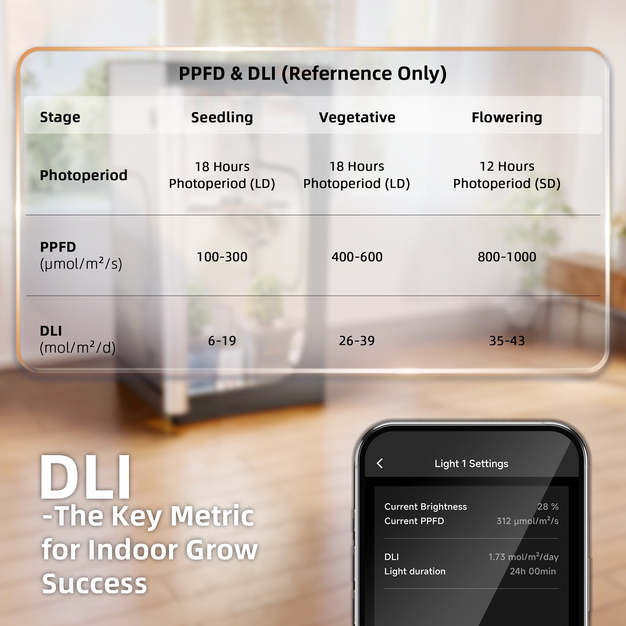 Diagramm, das die PPFD- und DLI-Bereiche für Sämlinge sowie für die vegetativen und blühenden Wachstumsstadien von Pflanzen zeigt, neben einem Smartphone, auf dem die Lichtwerte des Spider Farmer 5-in-1-Sensors für Temperatur, RLF, CO₂ und VPD sowie PPFD angezeigt werden – wobei der DLI als Schlüsselkennzahl zur Überwachung der Anbaubedingungen für einen erfolgreichen Indoor-Anbau hervorgehoben wird.