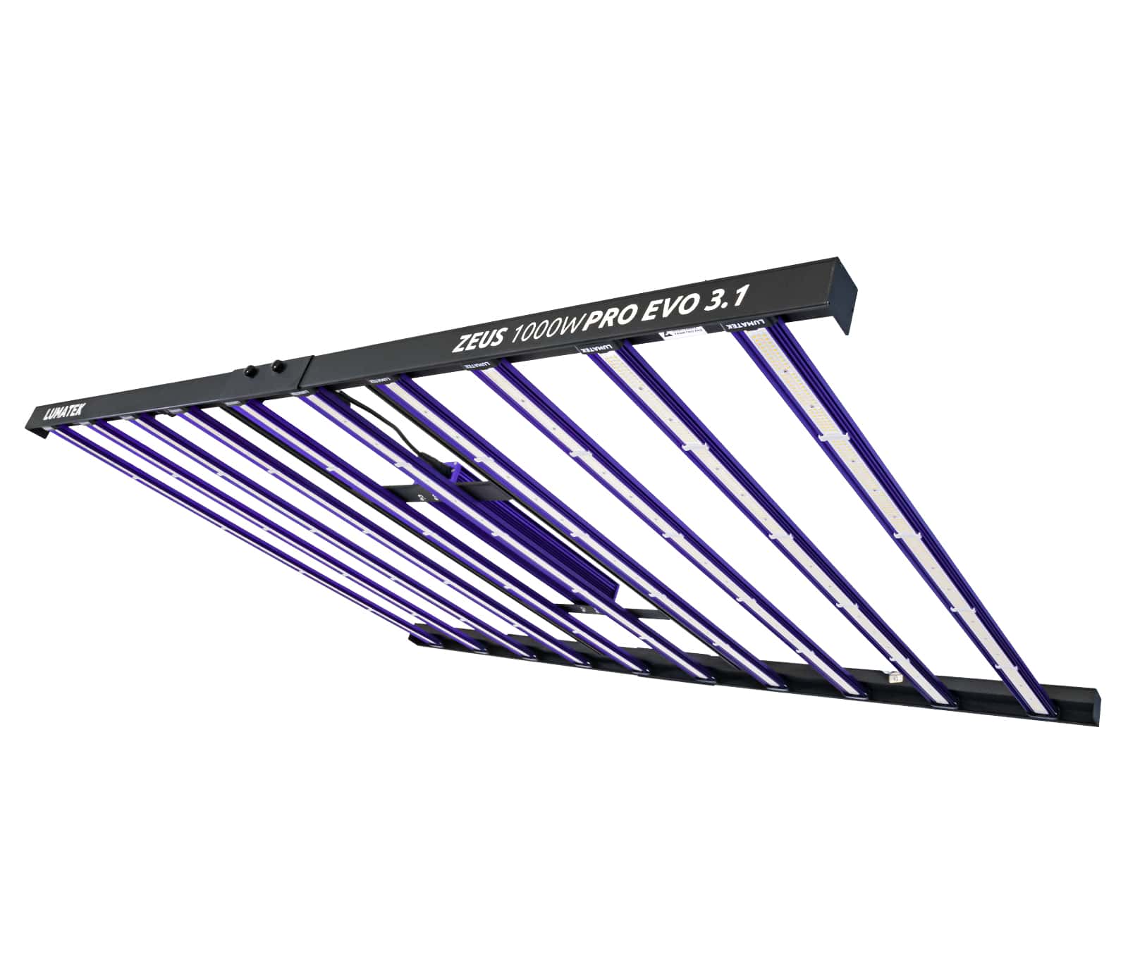 ZEUS PRO EVO 3.1 LED 1000 Watt B-Ware