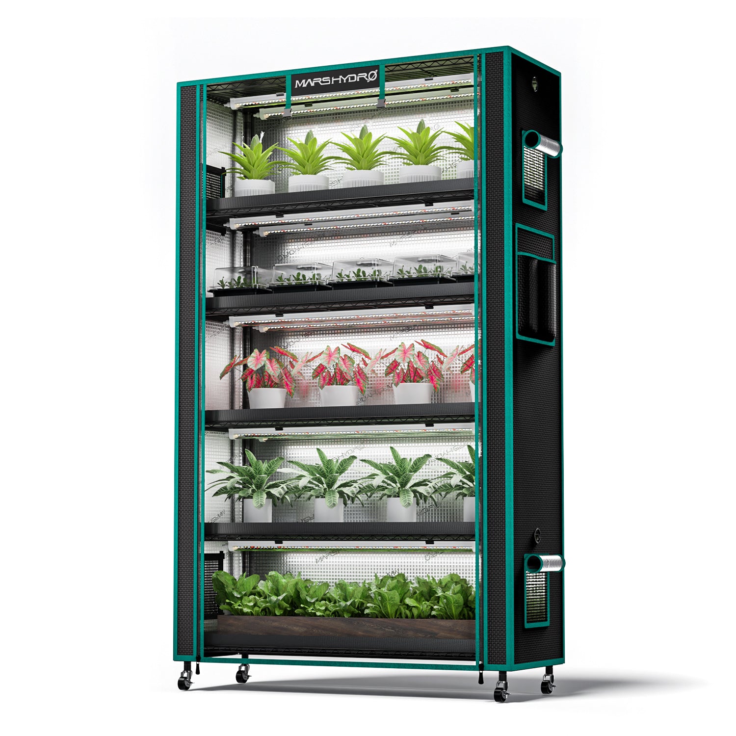 Anzucht/Stecklinge Komplettset (110x40x180 cm) 250 Watt LED