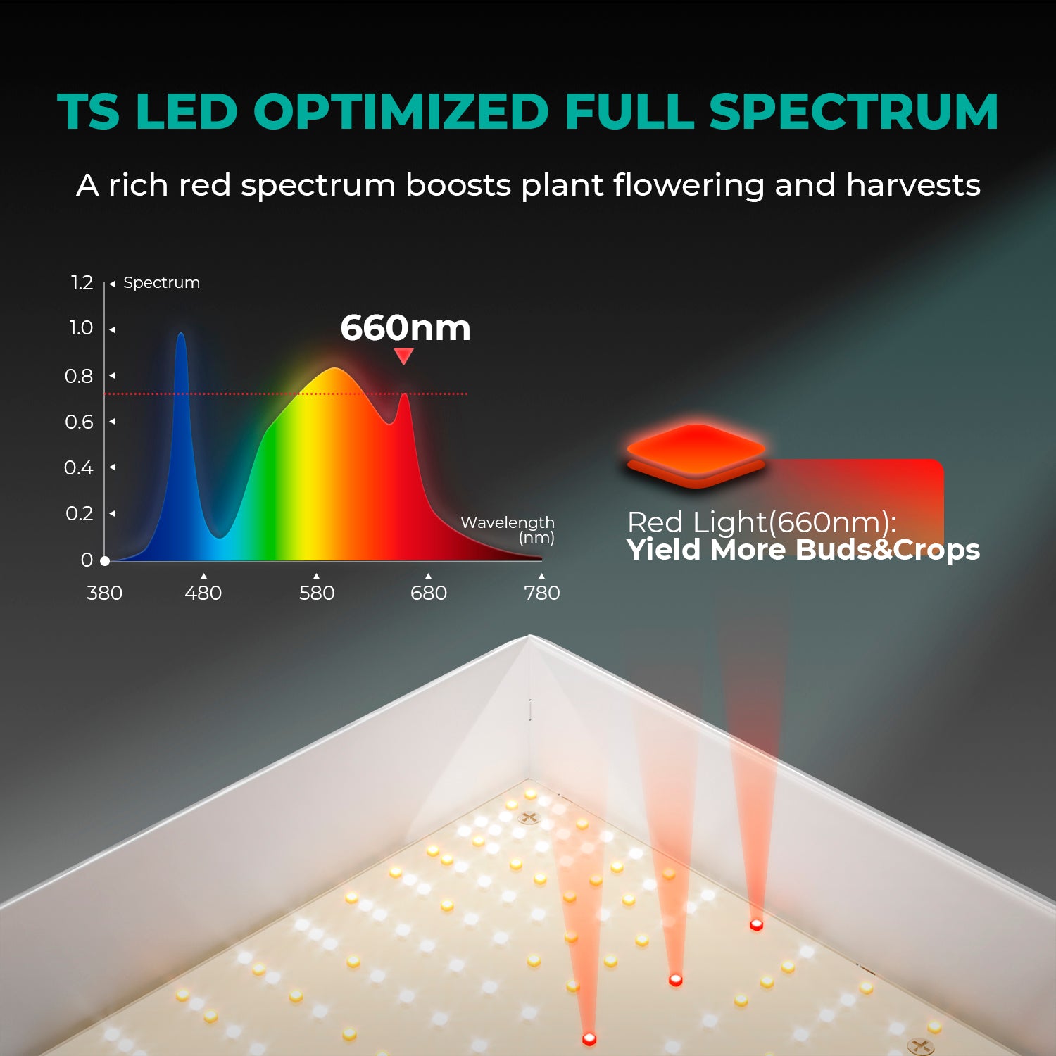 Komplettset (80x80x160 cm) 150 Watt TS 1000 LED