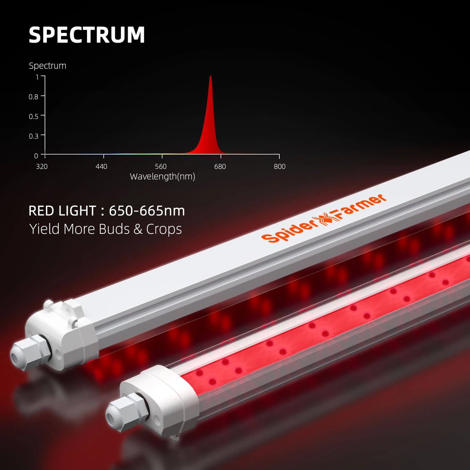 GlowR40 Deep Red LED Zusatzbeleuchtung 40 Watt