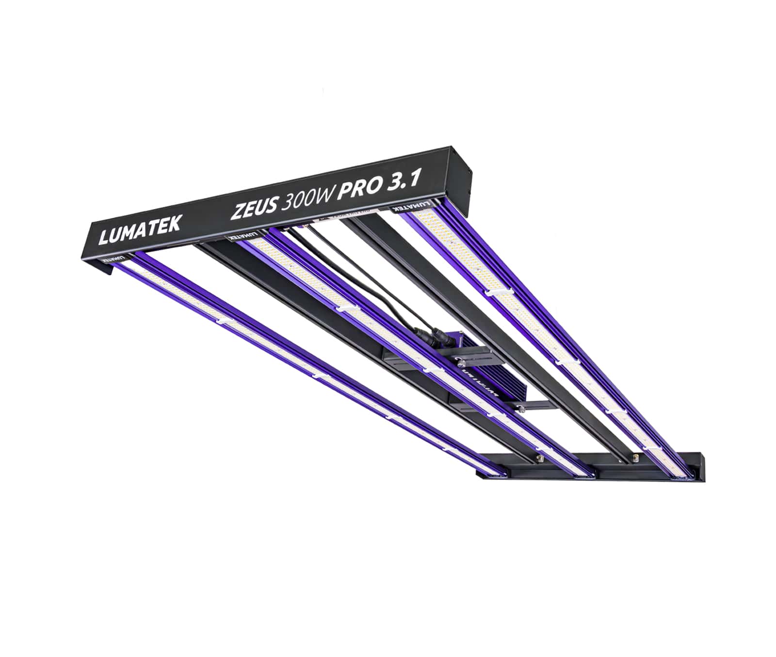 ZEUS PRO 3.1 LED 300 Watt