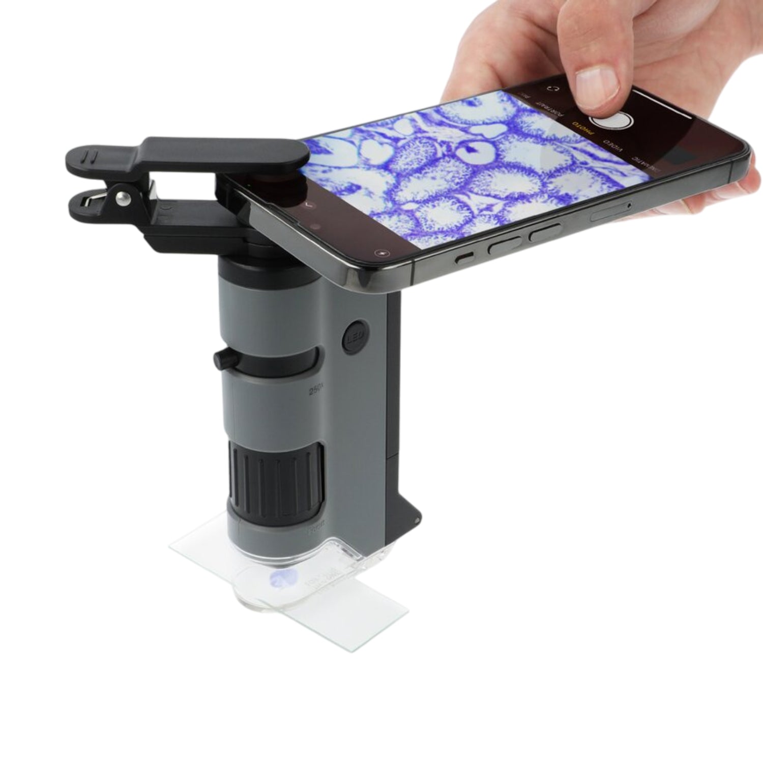 MP-250 MicroFlip Mikroskop 100- bis 250-fache Vergrößerung mit LED und universal Smartphone-Clip