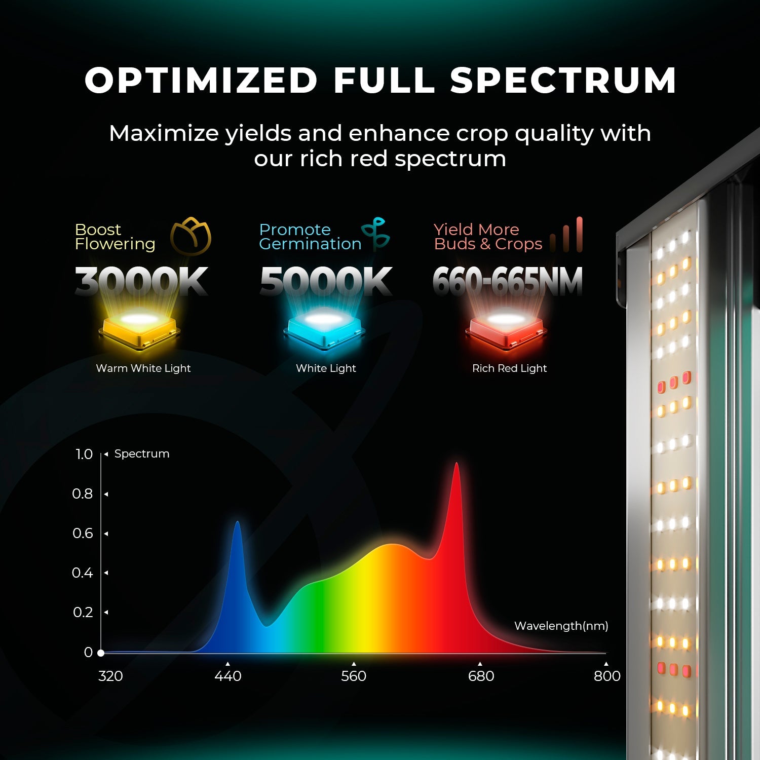 Mars Hydro FC1200W LED Grow Light – Bild 3