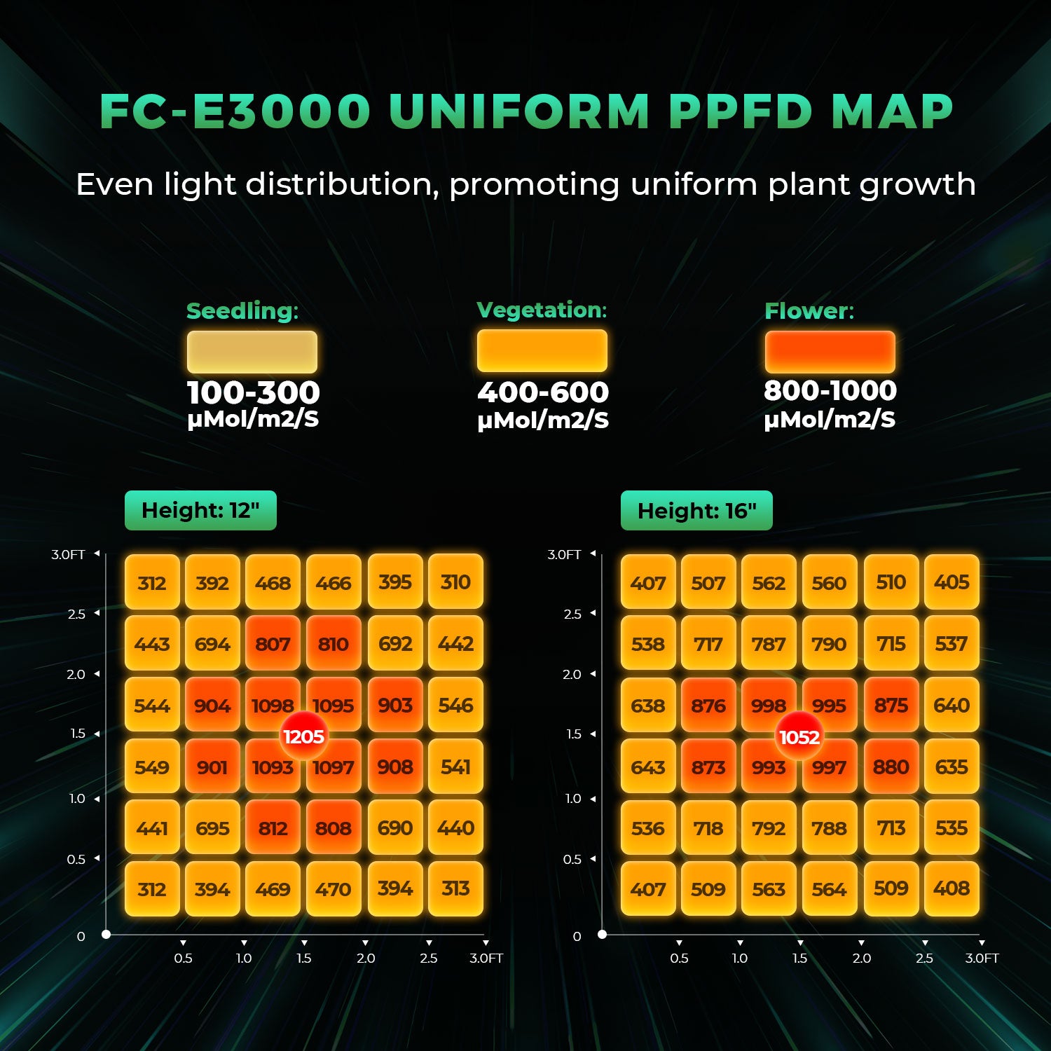 FC-E 3000 LED 300 W