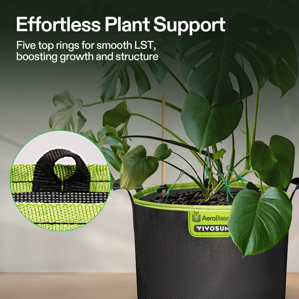 VIVOSUN AeroBase Grow Bags 12 L im 3er-Pack – Galerie 5