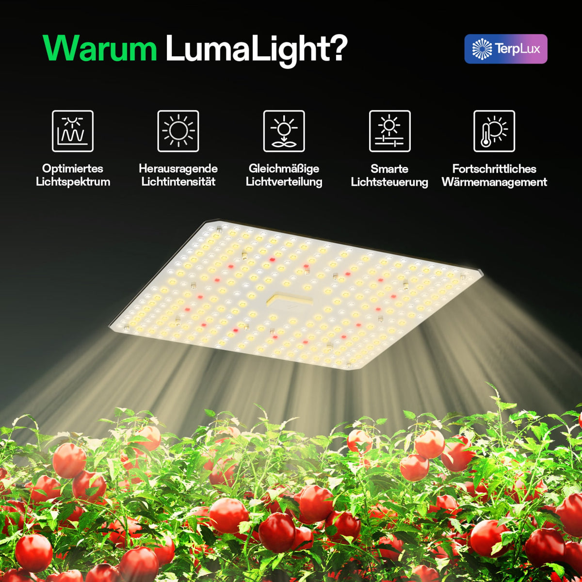 VIVOSUN LumaLight 100W LED Pflanzenlampe – Galerie 2