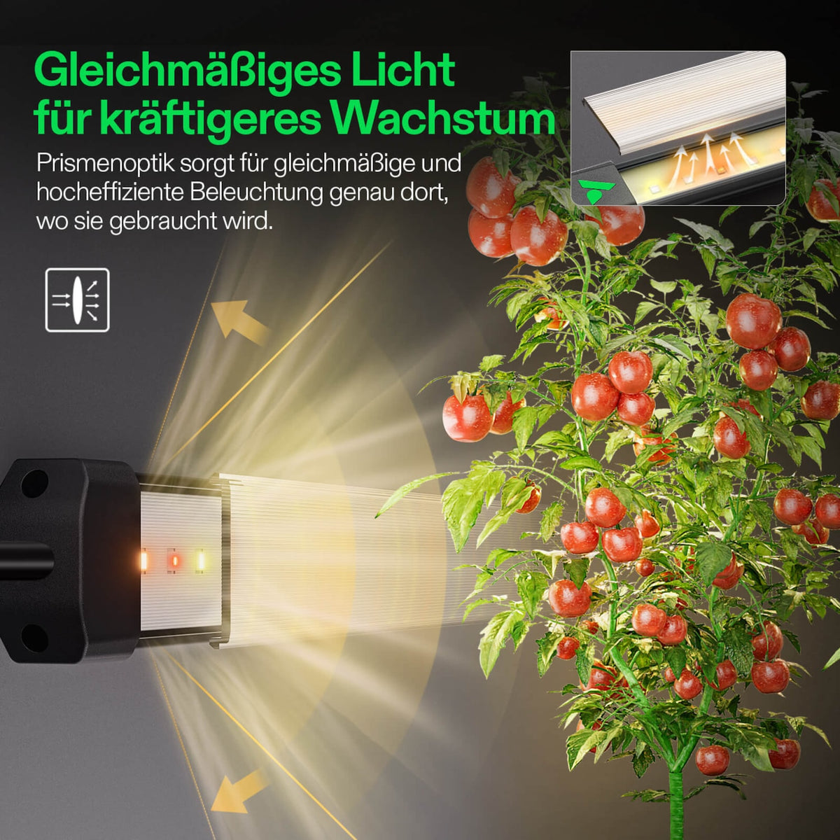 VIVOSUN LumaRay 100W LED-Lichtleisten (8er-Set) – Galerie 5